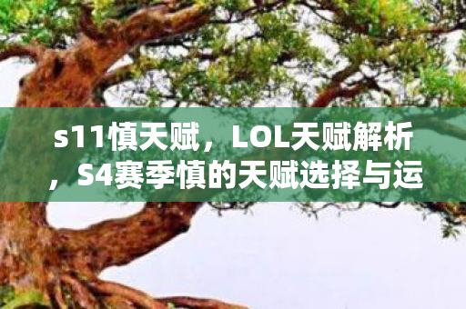 s11慎天赋，LOL天赋解析，S4赛季慎的天赋选择与运用策略