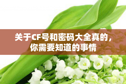 关于CF号和密码大全真的，你需要知道的事情