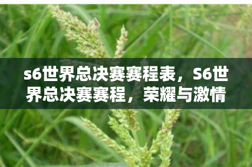 s6世界总决赛赛程表,S6世界总决赛赛程,荣耀与激情的碰撞 s6世界总决赛赛程表,S6世界总决赛赛程,荣耀与激情的碰撞