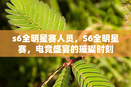 s6全明星赛人员,S6全明星赛,电竞盛宴的璀璨时刻 s6全明星赛人员,S6全明星赛,电竞盛宴的璀璨时刻