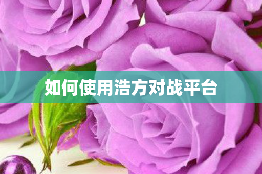 如何使用浩方对战平台 如何使用浩方对战平台