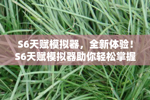 S6天赋模拟器,全新体验!S6天赋模拟器助你轻松掌握游戏天赋配置 S6天赋模拟器,全新体验!S6天赋模拟器助你轻松掌握游戏天赋配置
