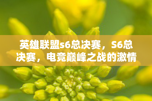 英雄联盟s6总决赛,S6总决赛,电竞巅峰之战的激情与荣耀 英雄联盟s6总决赛,S6总决赛,电竞巅峰之战的激情与荣耀