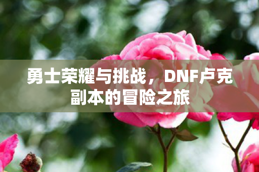 勇士荣耀与挑战,DNF卢克副本的冒险之旅 勇士荣耀与挑战,DNF卢克副本的冒险之旅
