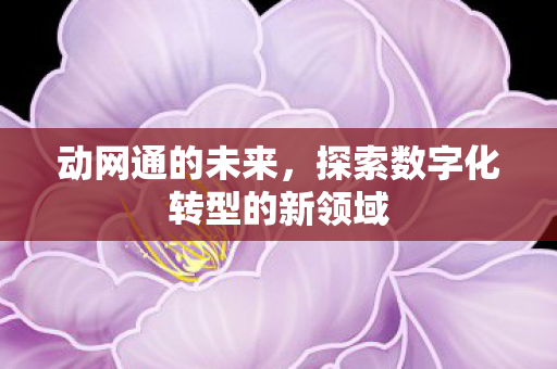 动网通的未来,探索数字化转型的新领域 动网通的未来,探索数字化转型的新领域
