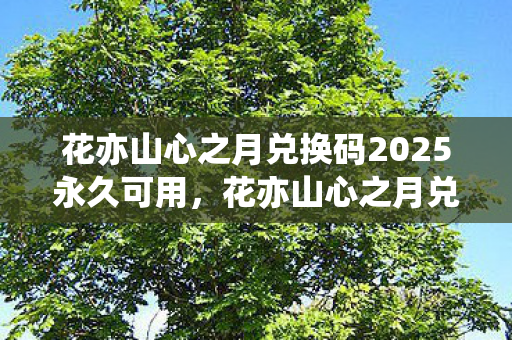 花亦山心之月兑换码2025永久可用,花亦山心之月兑换码获取攻略与实用指南 花亦山心之月兑换码2025永久可用,花亦山心之月兑换码获取攻略与实用指南