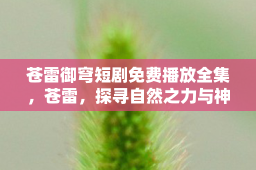 苍雷御穹短剧免费播放全集，苍雷，探寻自然之力与神秘现象