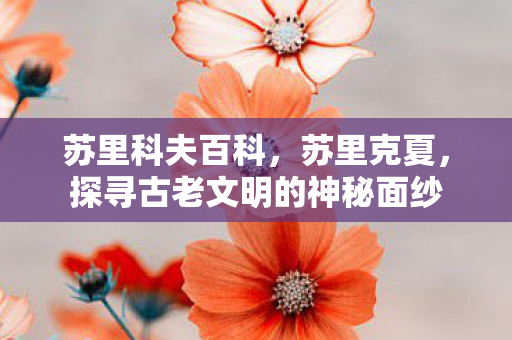 苏里科夫百科，苏里克夏，探寻古老文明的神秘面纱