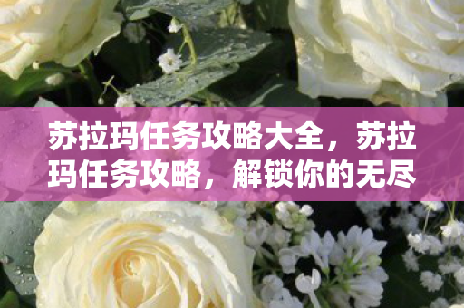 苏拉玛任务攻略大全,苏拉玛任务攻略,解锁你的无尽冒险之旅 苏拉玛任务攻略大全,苏拉玛任务攻略,解锁你的无尽冒险之旅
