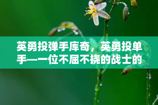 英勇投弹手库奇,英勇投单手—一位不屈不挠的战士的奋斗历程 英勇投弹手库奇,英勇投单手—一位不屈不挠的战士的奋斗历程