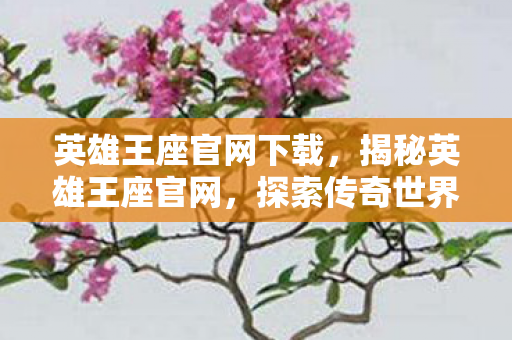 英雄王座官网下载,揭秘英雄王座官网,探索传奇世界的门户 英雄王座官网下载,揭秘英雄王座官网,探索传奇世界的门户
