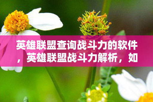 英雄联盟查询战斗力的软件,英雄联盟战斗力解析,如何查询与提升你的战斗力 英雄联盟查询战斗力的软件,英雄联盟战斗力解析,如何查询与提升你的战斗力