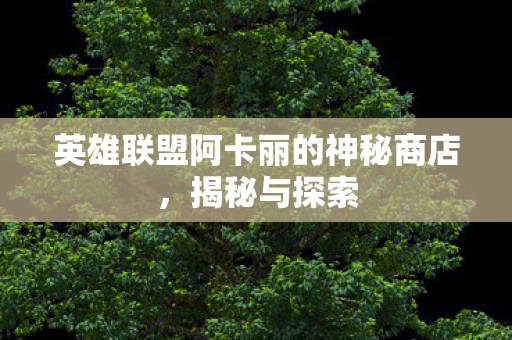 英雄联盟阿卡丽的神秘商店,揭秘与探索 英雄联盟阿卡丽的神秘商店,揭秘与探索