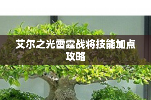 艾尔之光雷霆战将技能加点攻略 艾尔之光雷霆战将技能加点攻略