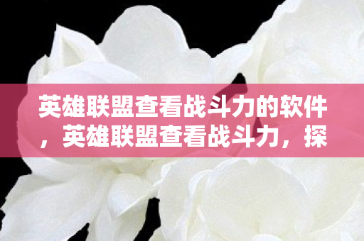 英雄联盟查看战斗力的软件，英雄联盟查看战斗力，探寻英雄荣耀之路