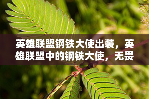 英雄联盟钢铁大使出装,英雄联盟中的钢铁大使,无畏的守护者 英雄联盟钢铁大使出装,英雄联盟中的钢铁大使,无畏的守护者