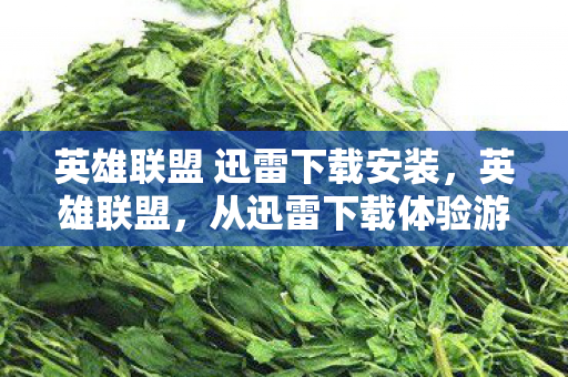 英雄联盟 迅雷下载安装，英雄联盟，从迅雷下载体验游戏魅力