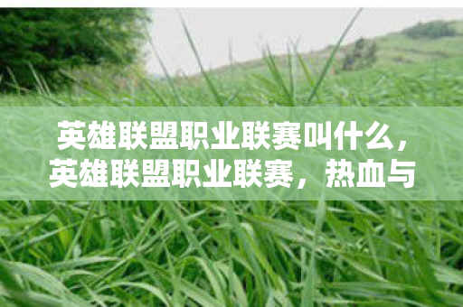 英雄联盟职业联赛叫什么,英雄联盟职业联赛,热血与荣耀的舞台 英雄联盟职业联赛叫什么,英雄联盟职业联赛,热血与荣耀的舞台