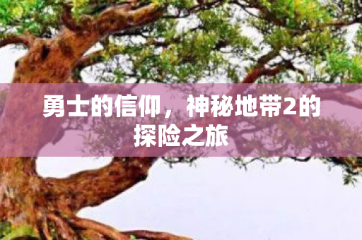 勇士的信仰,神秘地带2的探险之旅 勇士的信仰,神秘地带2的探险之旅