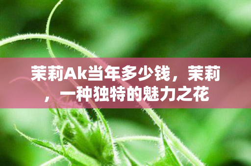 茉莉Ak当年多少钱,茉莉,一种独特的魅力之花 茉莉Ak当年多少钱,茉莉,一种独特的魅力之花