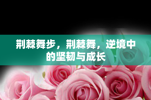 荆棘舞步,荆棘舞,逆境中的坚韧与成长 荆棘舞步,荆棘舞,逆境中的坚韧与成长