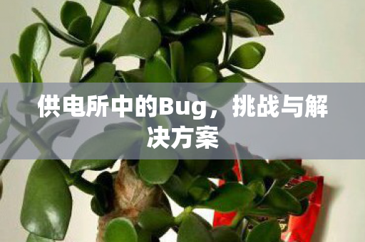供电所中的Bug，挑战与解决方案