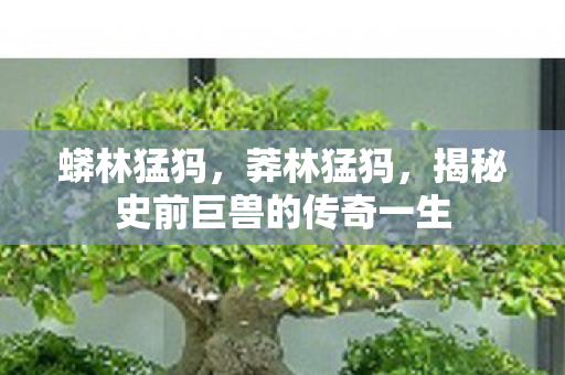 蟒林猛犸,莽林猛犸,揭秘史前巨兽的传奇一生 蟒林猛犸,莽林猛犸,揭秘史前巨兽的传奇一生