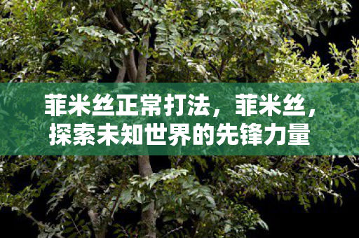 菲米丝正常打法,菲米丝,探索未知世界的先锋力量 菲米丝正常打法,菲米丝,探索未知世界的先锋力量