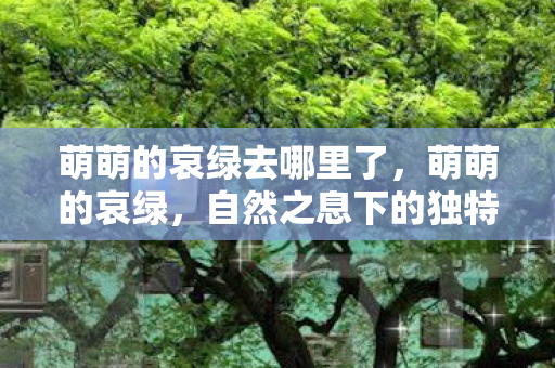 萌萌的哀绿去哪里了,萌萌的哀绿,自然之息下的独特魅力与情感表达 萌萌的哀绿去哪里了,萌萌的哀绿,自然之息下的独特魅力与情感表达
