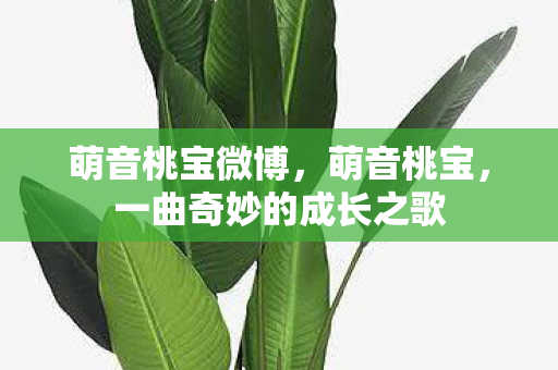 萌音桃宝微博，萌音桃宝，一曲奇妙的成长之歌