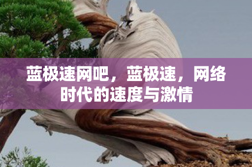 蓝极速网吧,蓝极速,网络时代的速度与激情 蓝极速网吧,蓝极速,网络时代的速度与激情