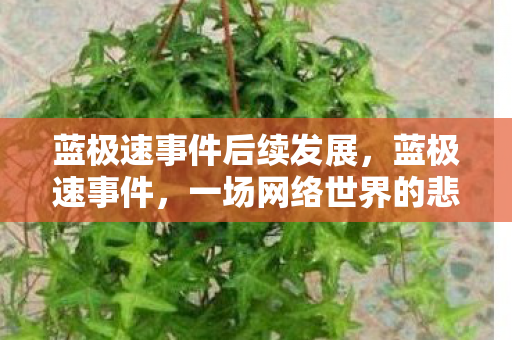 蓝极速事件后续发展,蓝极速事件,一场网络世界的悲剧与反思 蓝极速事件后续发展,蓝极速事件,一场网络世界的悲剧与反思