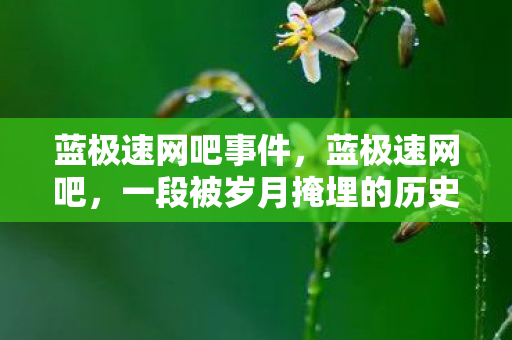 蓝极速网吧事件,蓝极速网吧,一段被岁月掩埋的历史记忆 蓝极速网吧事件,蓝极速网吧,一段被岁月掩埋的历史记忆