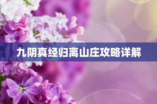 九阴真经归离山庄攻略详解 九阴真经归离山庄攻略详解