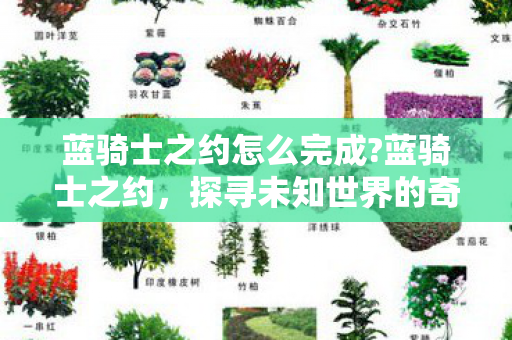 蓝骑士之约怎么完成?蓝骑士之约,探寻未知世界的奇幻之旅 蓝骑士之约怎么完成?蓝骑士之约,探寻未知世界的奇幻之旅