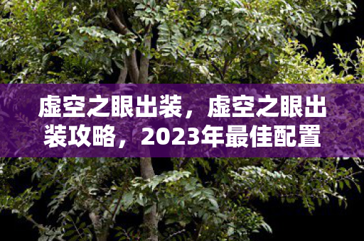 虚空之眼出装，虚空之眼出装攻略，2023年最佳配置指南