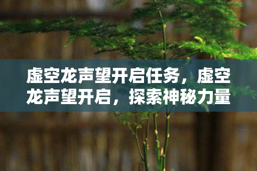 虚空龙声望开启任务,虚空龙声望开启,探索神秘力量的旅程 虚空龙声望开启任务,虚空龙声望开启,探索神秘力量的旅程