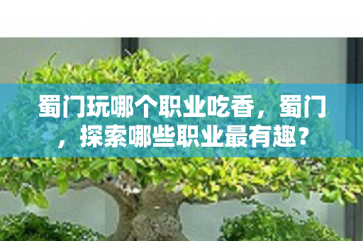 蜀门玩哪个职业吃香，蜀门，探索哪些职业最有趣？