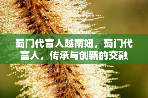 蜀门代言人越南妞，蜀门代言人，传承与创新的交融