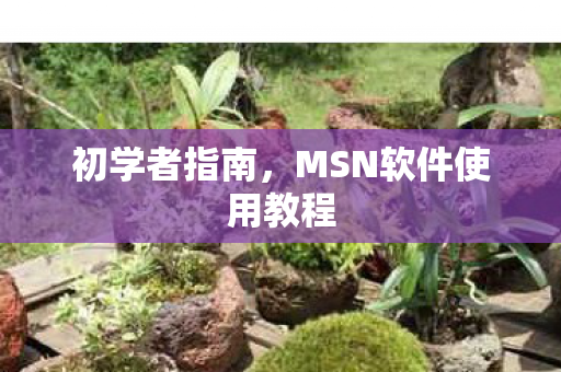 初学者指南,MSN软件使用教程 初学者指南,MSN软件使用教程