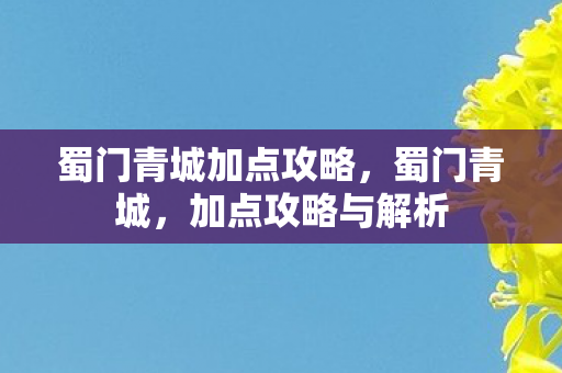 蜀门青城加点攻略,蜀门青城,加点攻略与解析 蜀门青城加点攻略,蜀门青城,加点攻略与解析