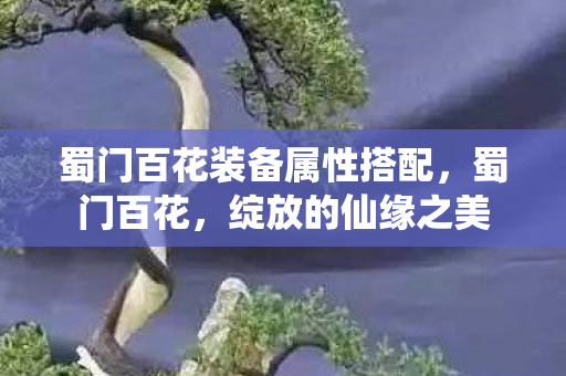 蜀门百花装备属性搭配,蜀门百花,绽放的仙缘之美 蜀门百花装备属性搭配,蜀门百花,绽放的仙缘之美