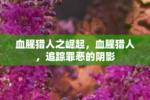 血腥猎人之崛起,血腥猎人,追踪罪恶的阴影 血腥猎人之崛起,血腥猎人,追踪罪恶的阴影