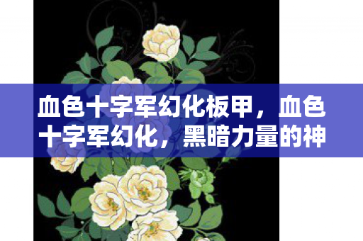 血色十字军幻化板甲,血色十字军幻化,黑暗力量的神秘面纱 血色十字军幻化板甲,血色十字军幻化,黑暗力量的神秘面纱