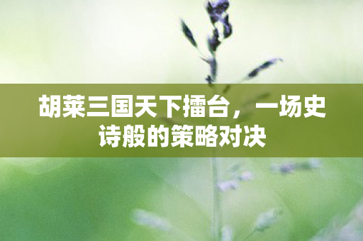 胡莱三国天下擂台，一场史诗般的策略对决