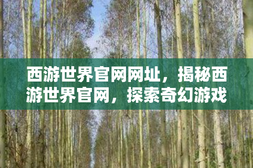 西游世界官网网址,揭秘西游世界官网,探索奇幻游戏世界的门户 西游世界官网网址,揭秘西游世界官网,探索奇幻游戏世界的门户