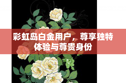 彩虹岛白金用户，尊享独特体验与尊贵身份