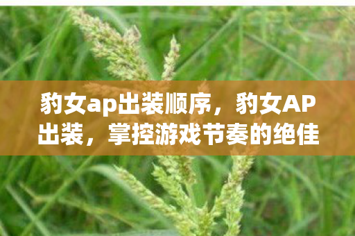豹女ap出装顺序,豹女AP出装,掌控游戏节奏的绝佳选择 豹女ap出装顺序,豹女AP出装,掌控游戏节奏的绝佳选择