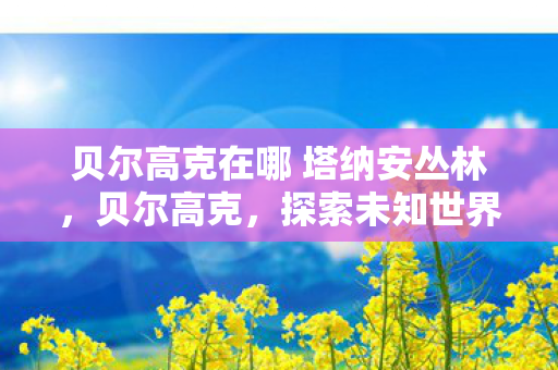 贝尔高克在哪 塔纳安丛林，贝尔高克，探索未知世界的先驱者