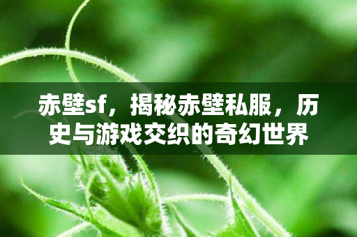 赤壁sf，揭秘赤壁私服，历史与游戏交织的奇幻世界